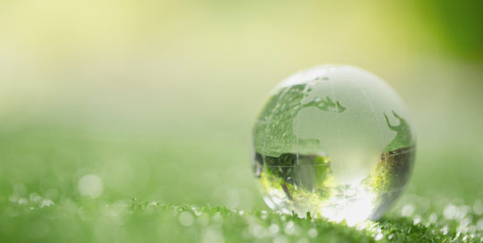 close up of crystal globe resting on grass in a forest scaled