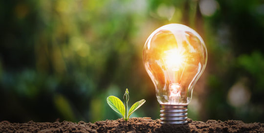 lightbulb with small plant on soil and sunshine concept saving energy in nature scaled
